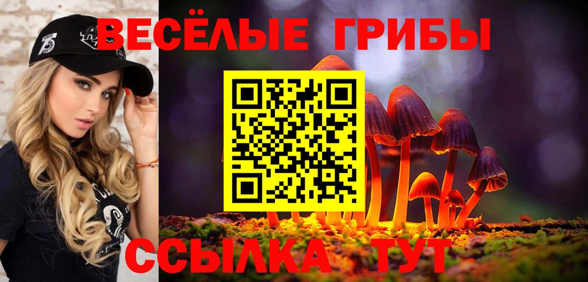 Нижнекамск  Псилоцибиновые грибы ЛСД  Вход с VPN  Псилоцибиновые грибы GOLDEN TEACHER 